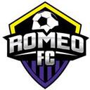 Club crest