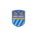 Club crest
