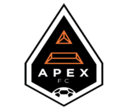 Club crest