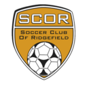 Club crest