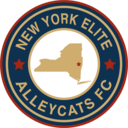 Club crest
