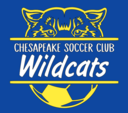 Club crest