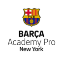 Club crest