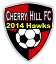 Club crest