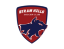 Club crest