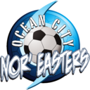 Club crest