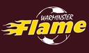 Club crest