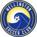 Club crest