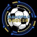 Club crest