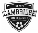 Club crest