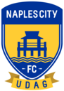Club crest