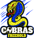 Club crest