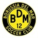 Club crest