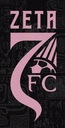 Club crest