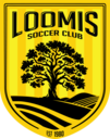 Club crest