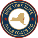Club crest