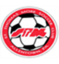 Club crest