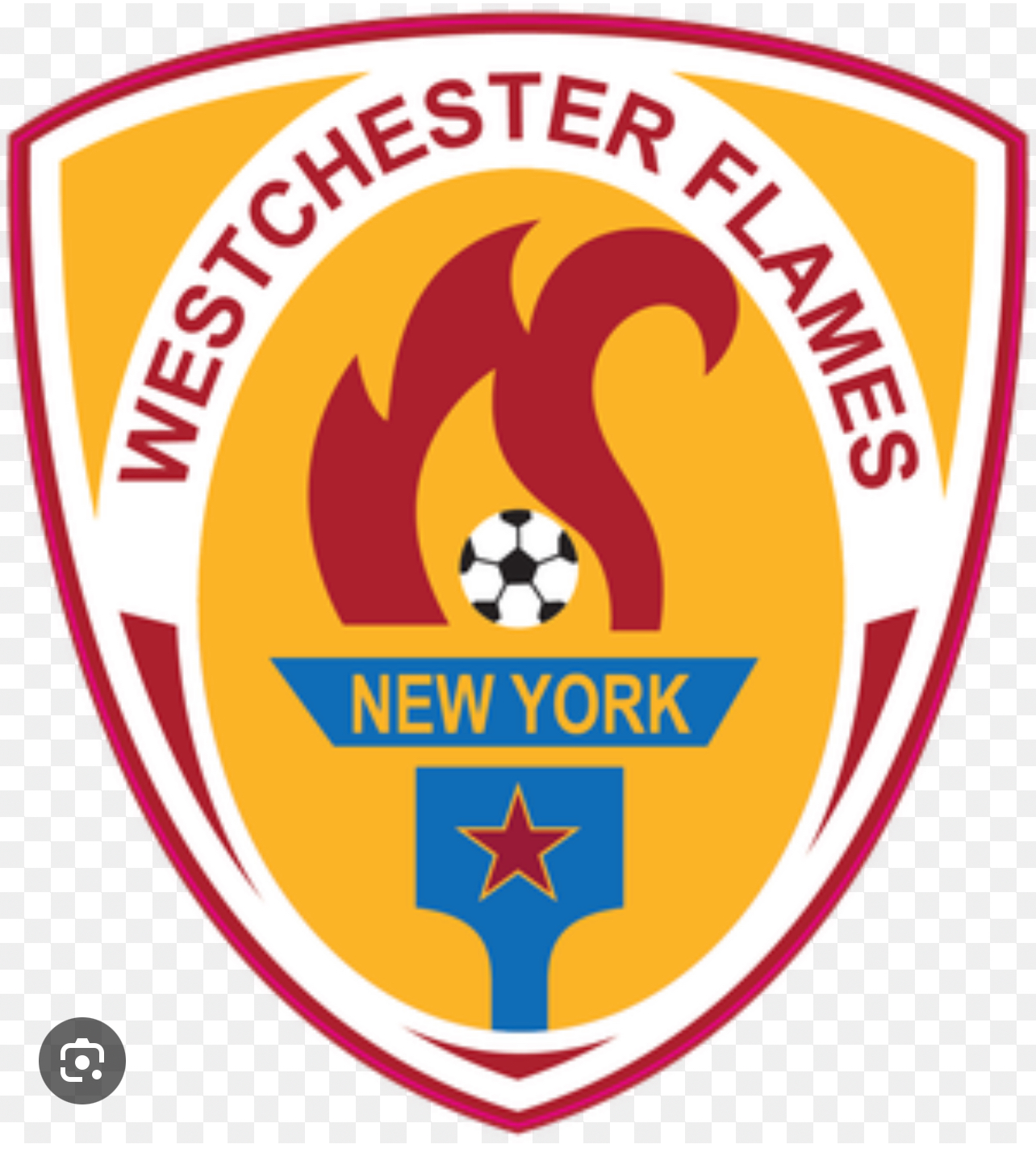 Club crest