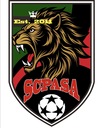 Club crest