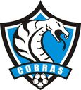 Club crest