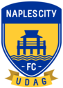Club crest