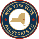 Club crest