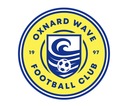 Club crest
