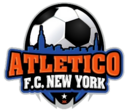 Club crest