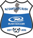 Club crest