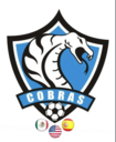 Club crest