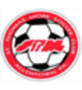 Club crest