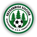 Club crest