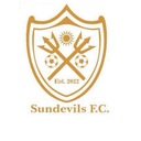 Club crest
