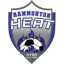 Club crest