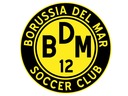 Club crest
