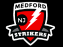 Club crest