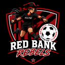 Club crest