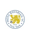 Club crest