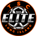 Club crest
