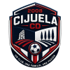 Club crest
