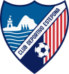 Club crest