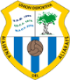 Club crest