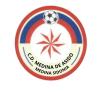 Club crest