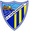 Club crest