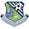 Club crest