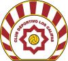 Club crest
