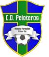 Club crest