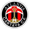 Club crest