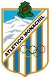 Club crest
