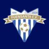 Club crest